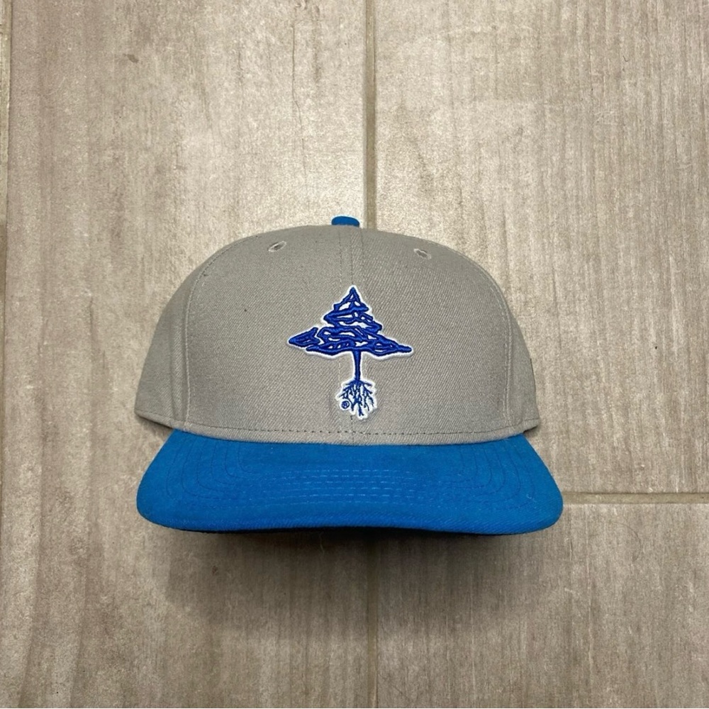 Brand new LRG SnapBack